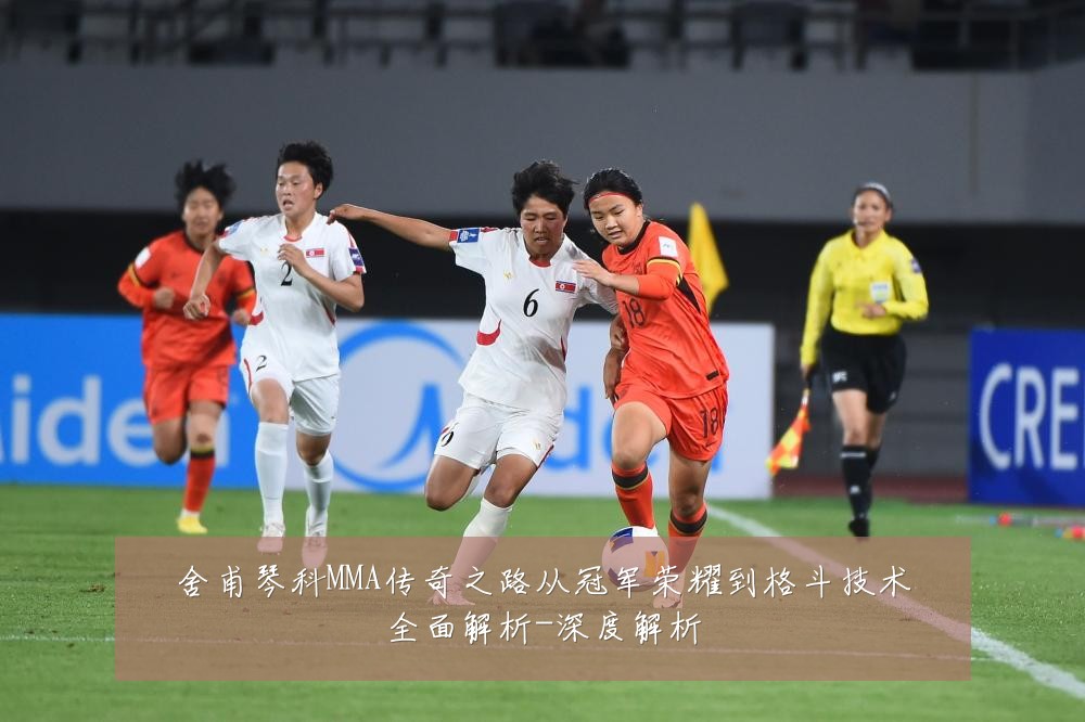舍甫琴科MMA传奇之路从冠军荣耀到格斗技术全面解析-深度解析