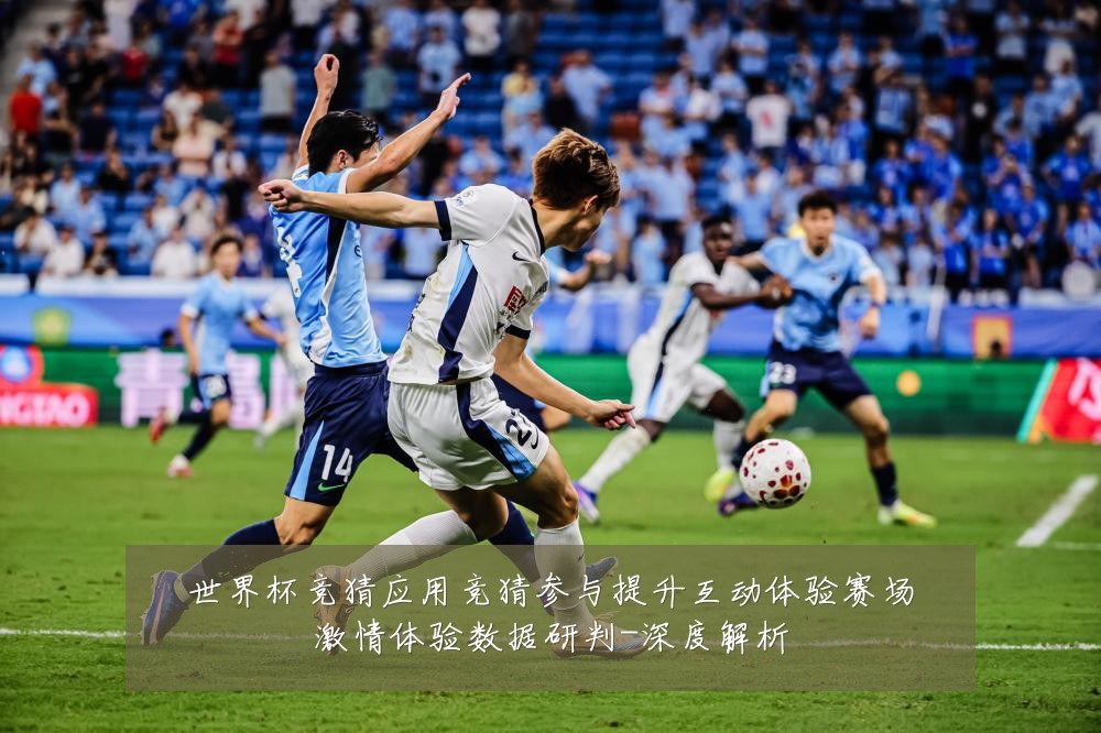 世界杯竞猜应用竞猜参与提升互动体验赛场激情体验数据研判-深度解析